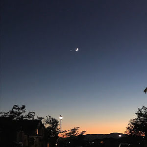 Meet your Posher, Nomitha